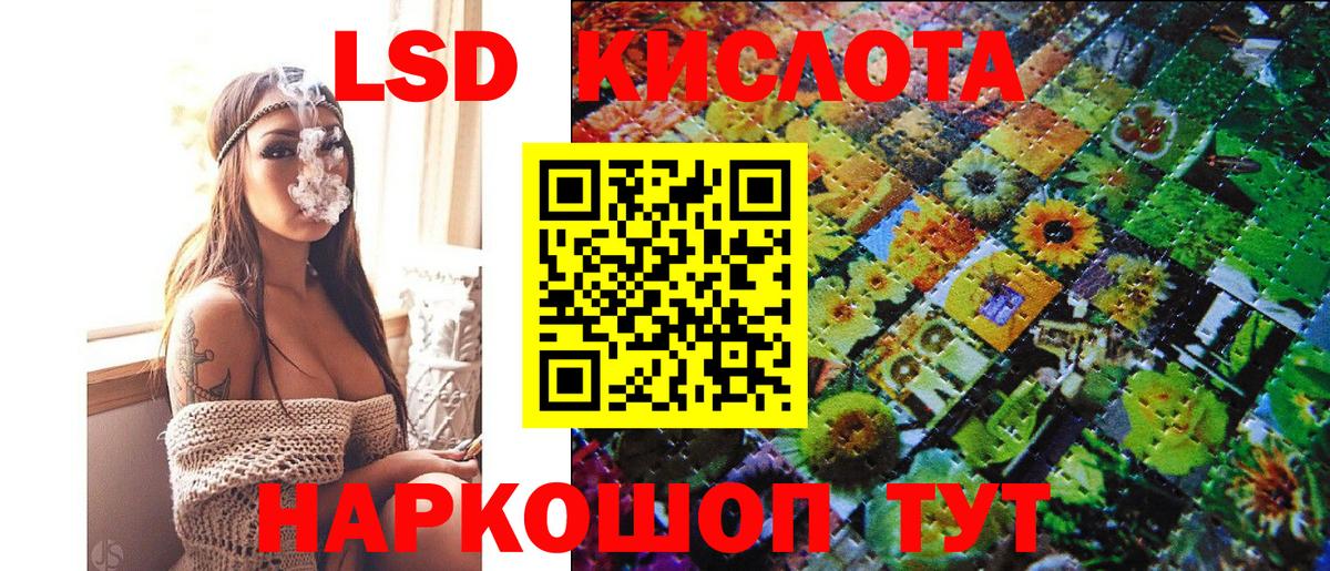 МЕФ Родники