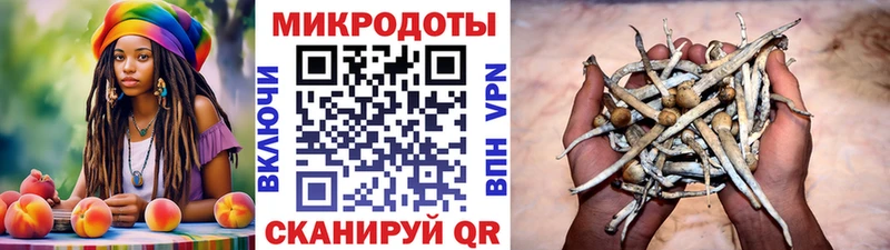 Псилоцибиновые грибы мухоморы Родники