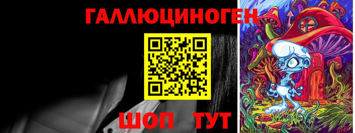 Псилоцибиновые грибы Psilocybine cubensis Родники