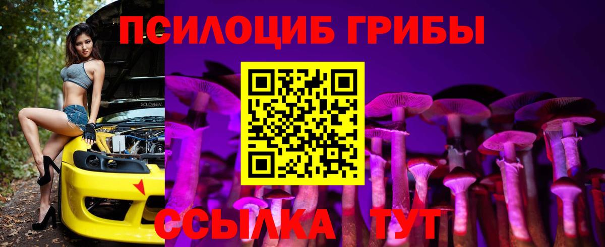 Родники  Галлюциногенные грибы Psilocybe  купить наркотики сайты  Вход с VPN 